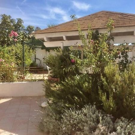 Superbe Appartement En Residence Avec Patio Villeneuve-lès-Maguelonne Exterior foto